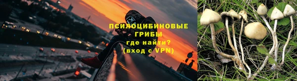 трава Белокуриха