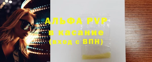 трава Белокуриха