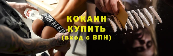 трава Белокуриха