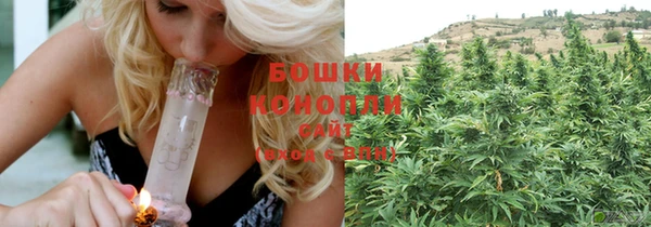 трава Белокуриха