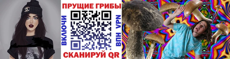 Псилоцибиновые грибы GOLDEN TEACHER  Старый Крым 