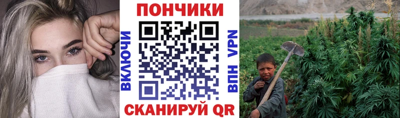 Канабис планчик  МЕГА   Старый Крым 